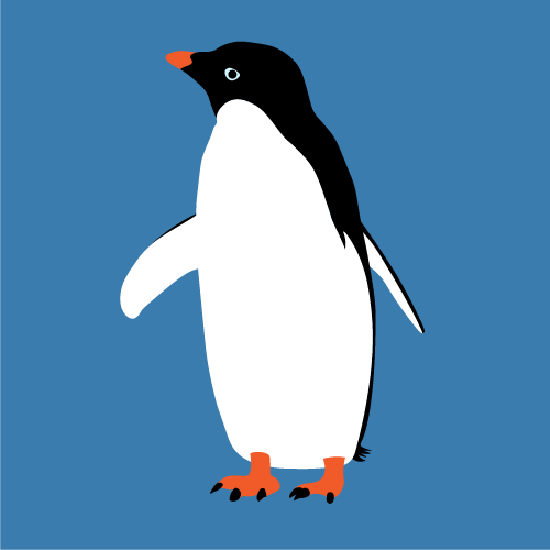 Adelie penguin