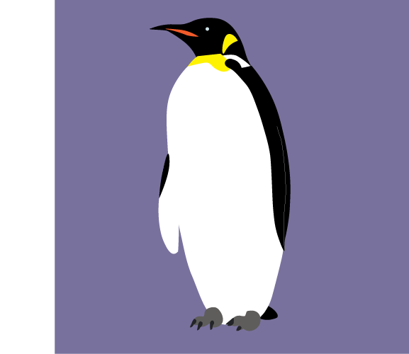 Emperor penguin